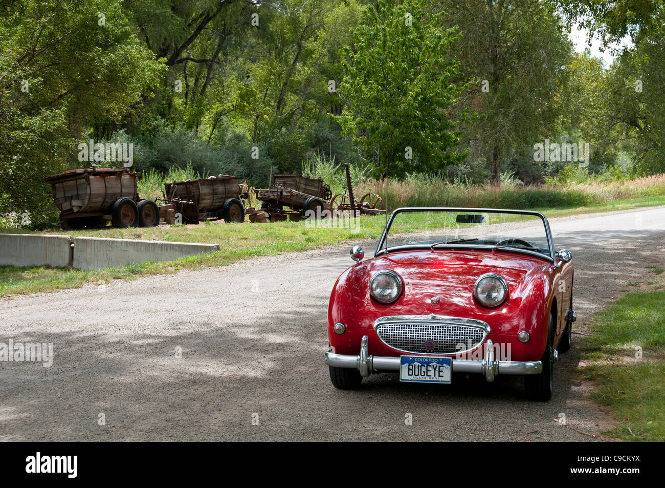 Austin Healey Sprite a valle Orchard Farm e Ponte nero cantina, Paonia, Colorado. Foto Stock