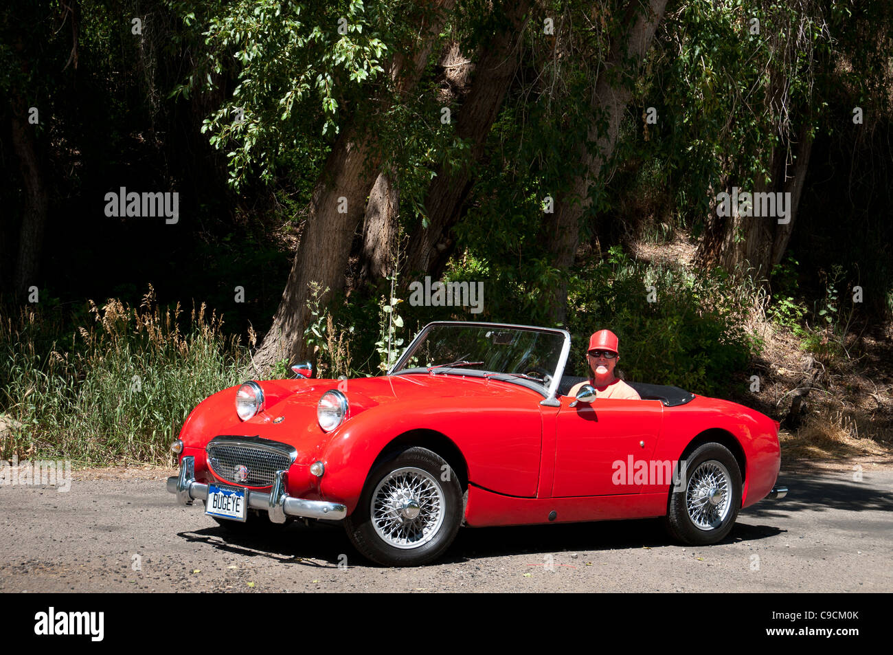 Una donna che aziona una Austin Healey Sprite vicino Orchard Valley Farm e Ponte nero cantina, Paonia, Colorado. Foto Stock