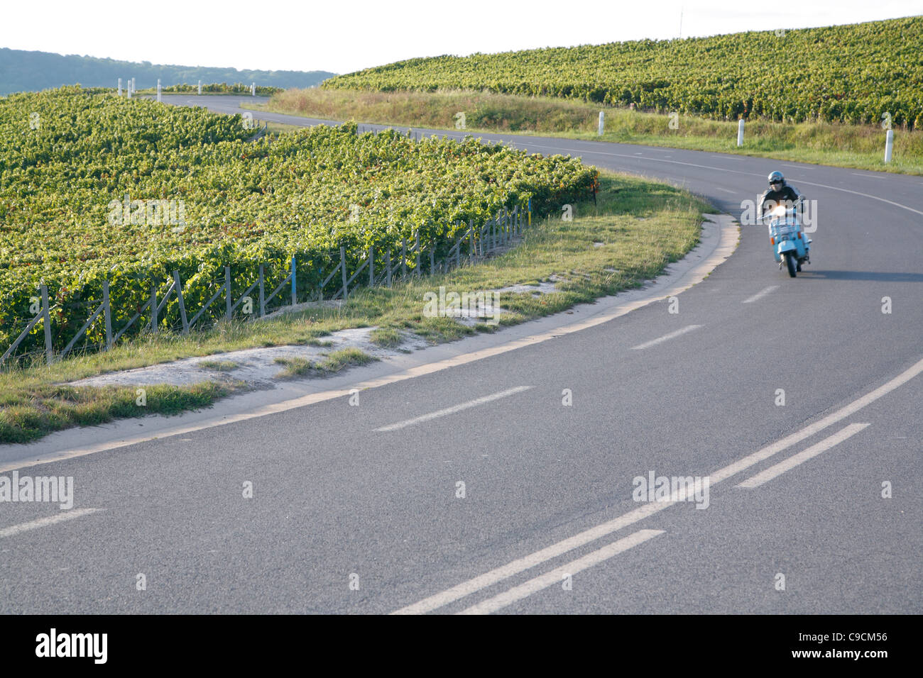 Scooter, Road, vitigno, vigneti, Champagne, Francia Foto Stock