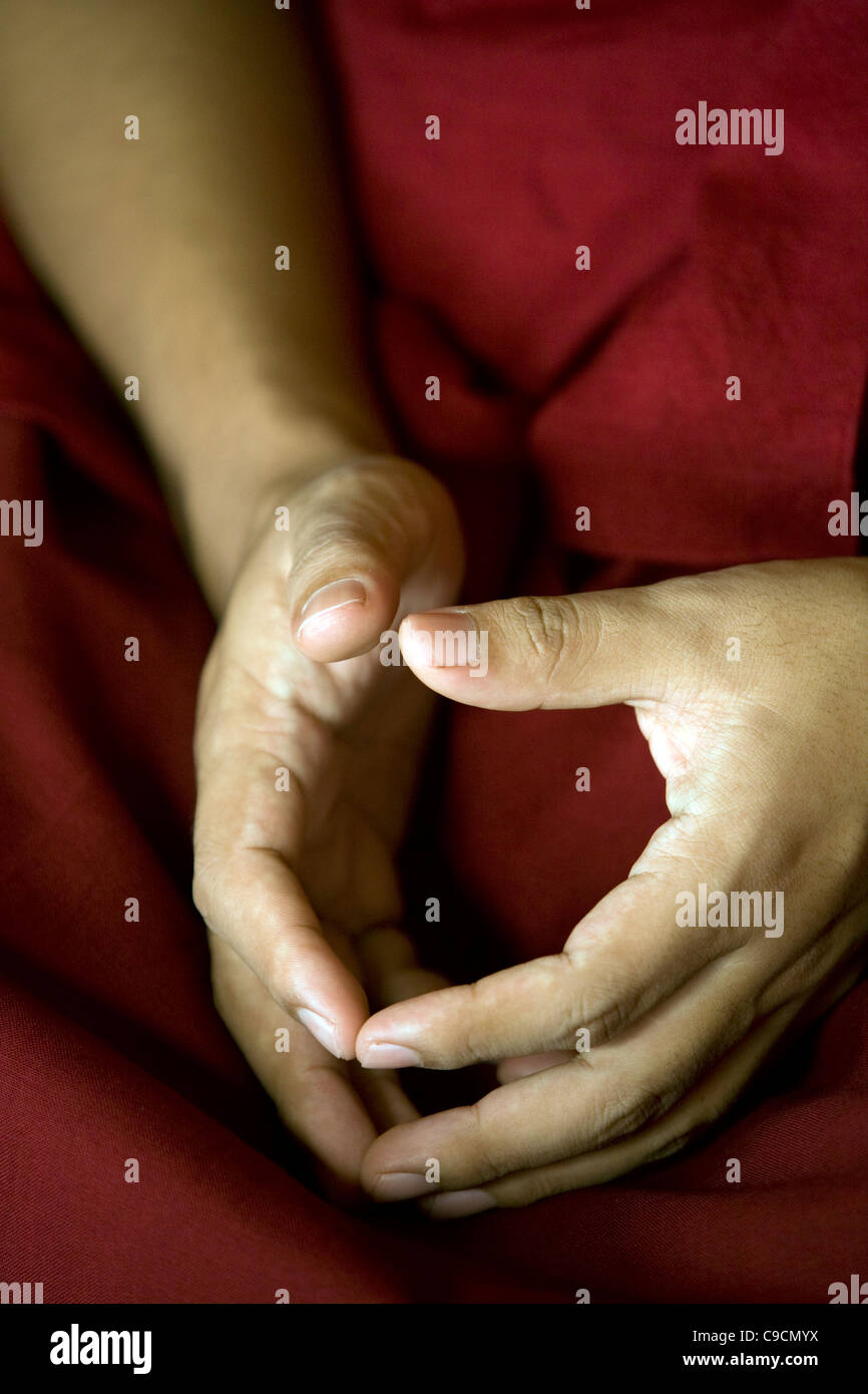 Ogyen Trinley Dorje, Sua Santità, la diciassettesima reincarnazione del Karmapa Lama. Vajra Vidya Institute, Sarnath India Foto Stock