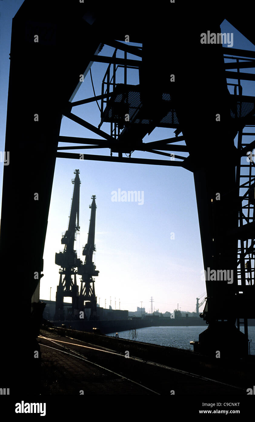 Silhouette della storica Gantry cranes (Kranbau Eberswalde Gmbh in Germania est) a Kaiser-Wilhelm-Hafen nel porto di Amburgo. Foto Stock