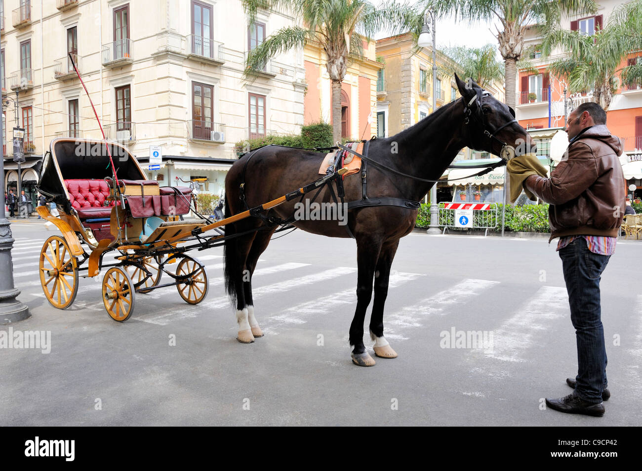 Un driver del carrello e un cavallo sono pronti a prendere i turisti per un giro intorno alla graziosa cittadina di Sorrento. Piazza Tasso, Campania, ... Foto Stock