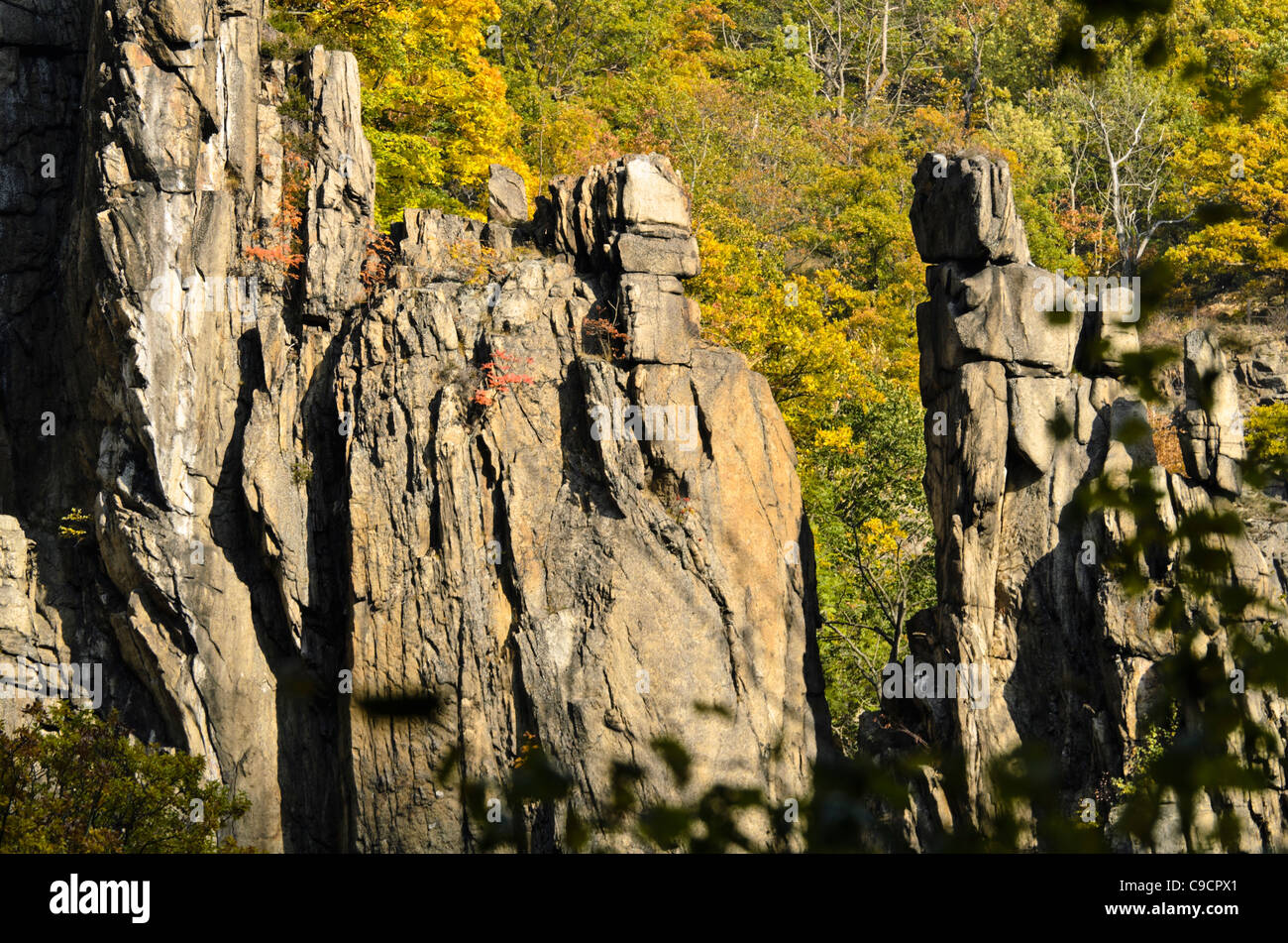 Ripide pareti di granito, bode la riserva naturale Valle, Germania Foto Stock