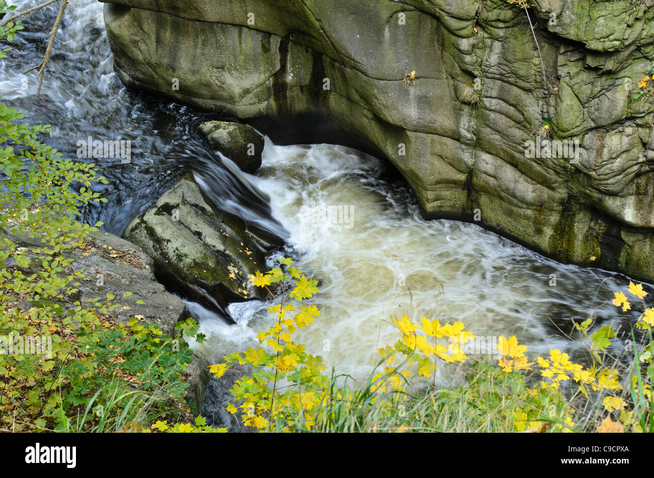 Mountain Brook con rocce granitiche, bode la riserva naturale Valle, Germania Foto Stock