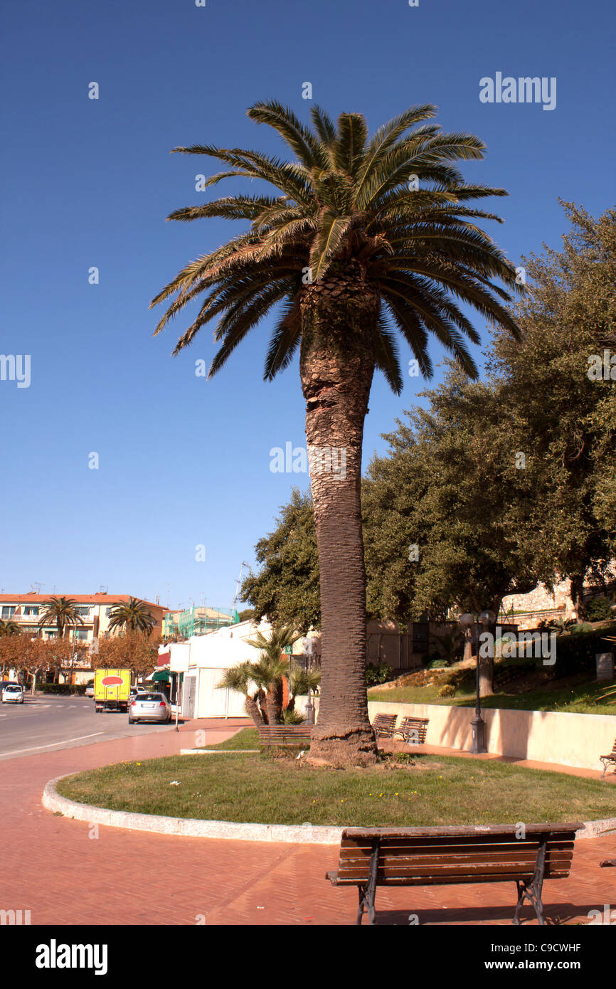 Piccolo parco con panchine e palma a Portoferraio, Isola d'Elba, Italia. Foto Stock