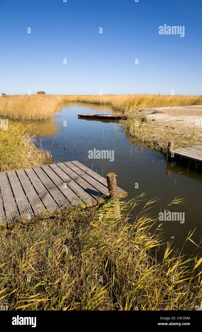 Marsh con fossato e reed sotto il cielo chiaro Foto Stock