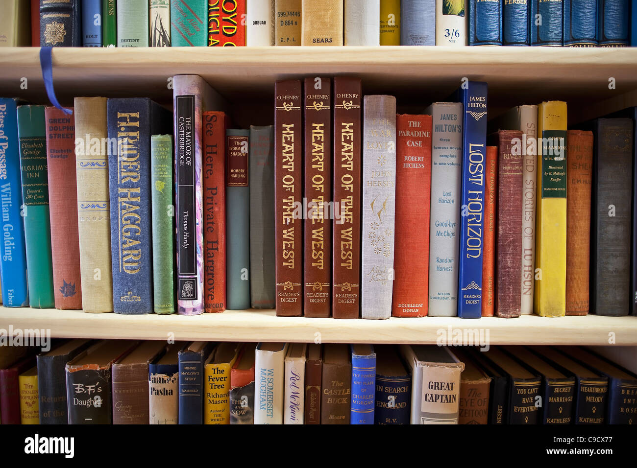 Copertina rigida libri sullo scaffale di una libreria utilizzata. Foto Stock
