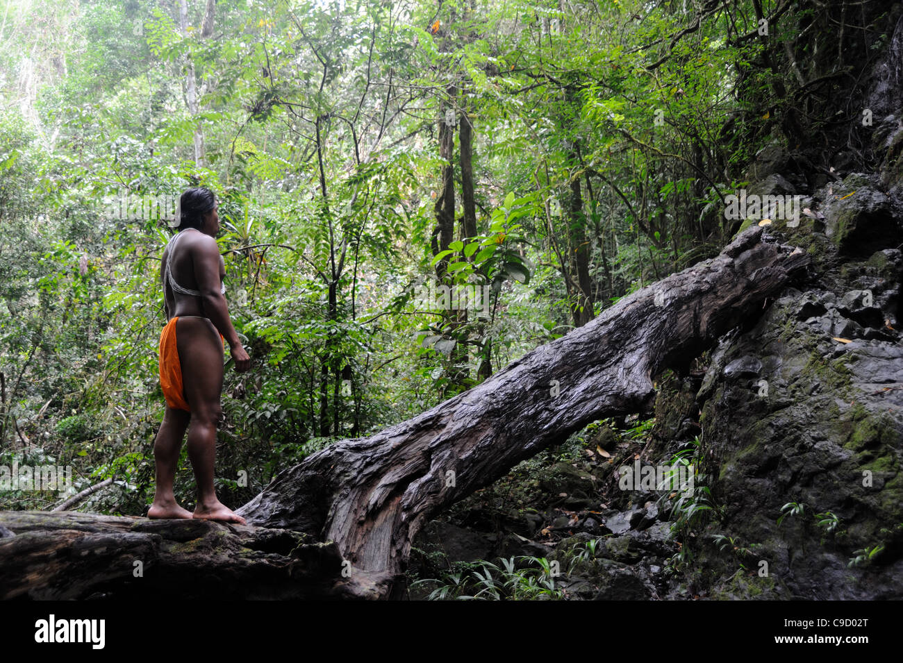 L'uomo indigeno di Embera meditava da solo nella giungla mentre si trovava su un tronco di alberi caduto nella comunità indigena di Embera nella foresta pluviale di Panama. Foto Stock