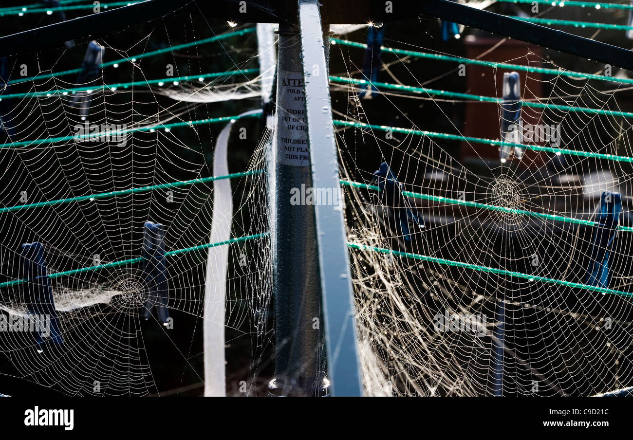Un giardino rotante linea di abbigliamento contemplati in rugiadoso spider web Foto Stock