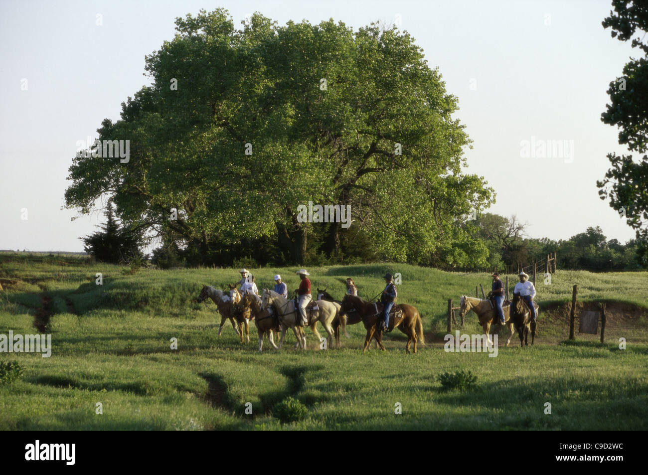 Gli allevatori di bestiame a cavallo Foto Stock
