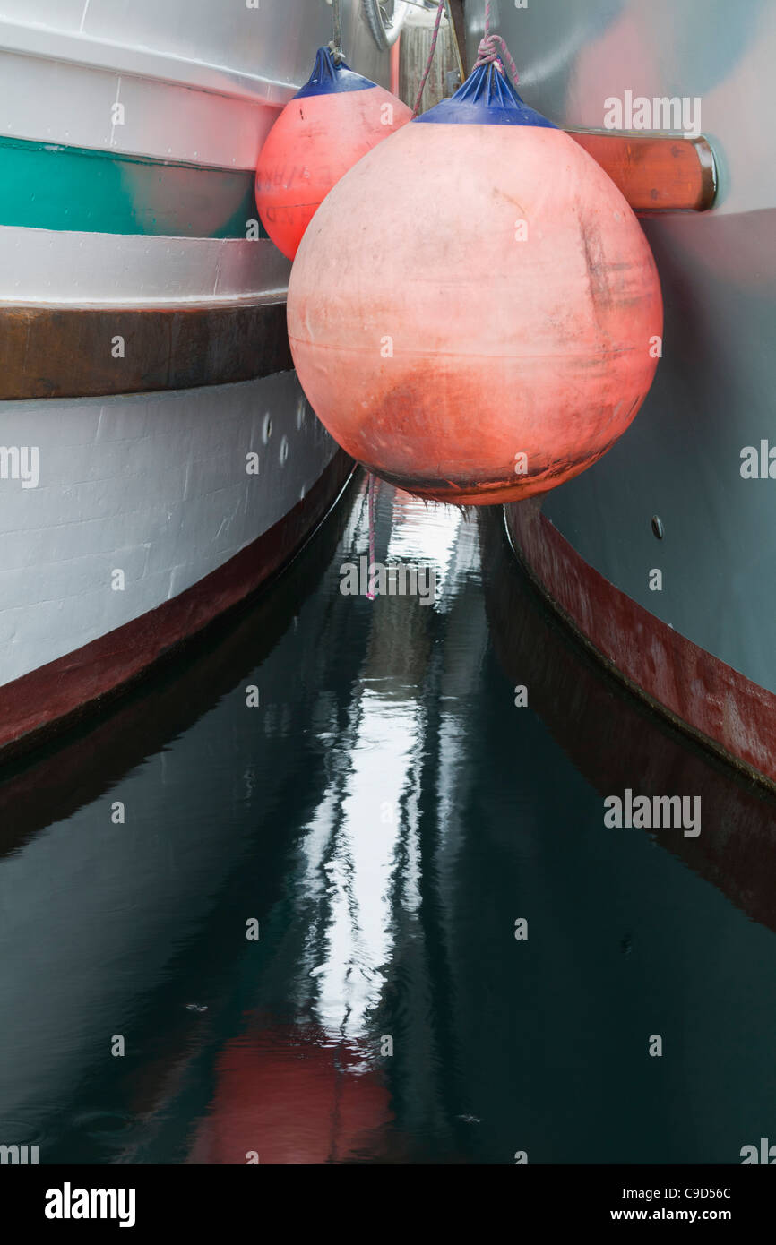 Boe tra barche, Port McNeill, Isola di Vancouver, British Columbia, Canada Foto Stock