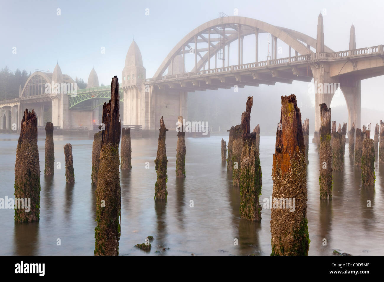 Stati Uniti d'America, Oregon, Firenze, Siuslaw River Bridge a sunrise Foto Stock