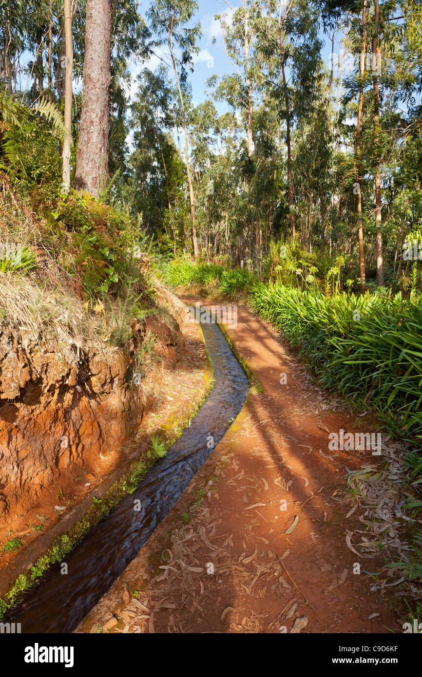 Levadas - Madeira, Portogallo, Europa Foto Stock