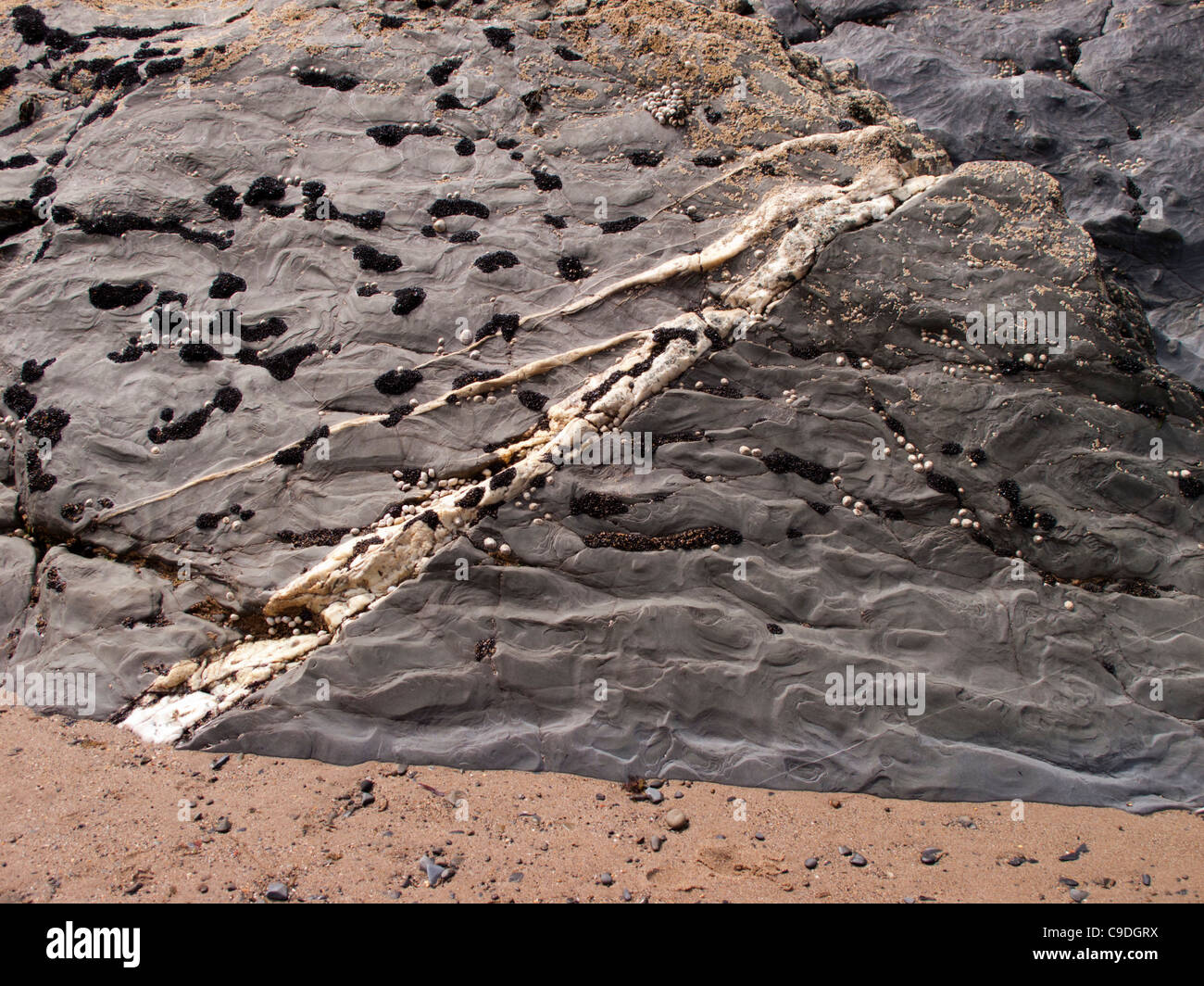 Llangrannog Llandysul Dyfed Spiaggia e mare Foto Stock