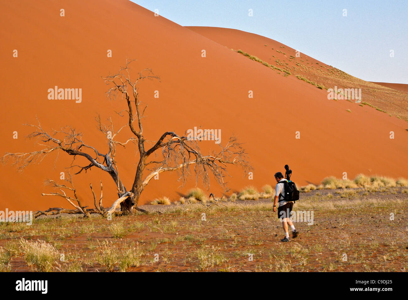Fotografo a duna 45, Parco Namib-Naukluft, Namibia Foto Stock