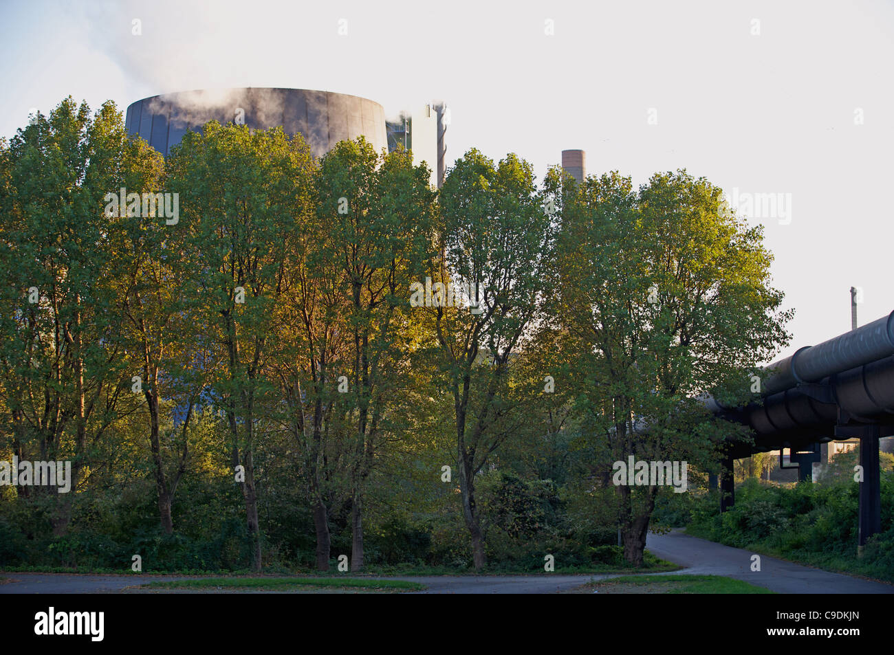 RWE Power centrale elettrica a gas, alimentato da altoforno e gas di cokeria da parte di ThyssenKrupp, Duisburg-Hamborn, Germania. Foto Stock