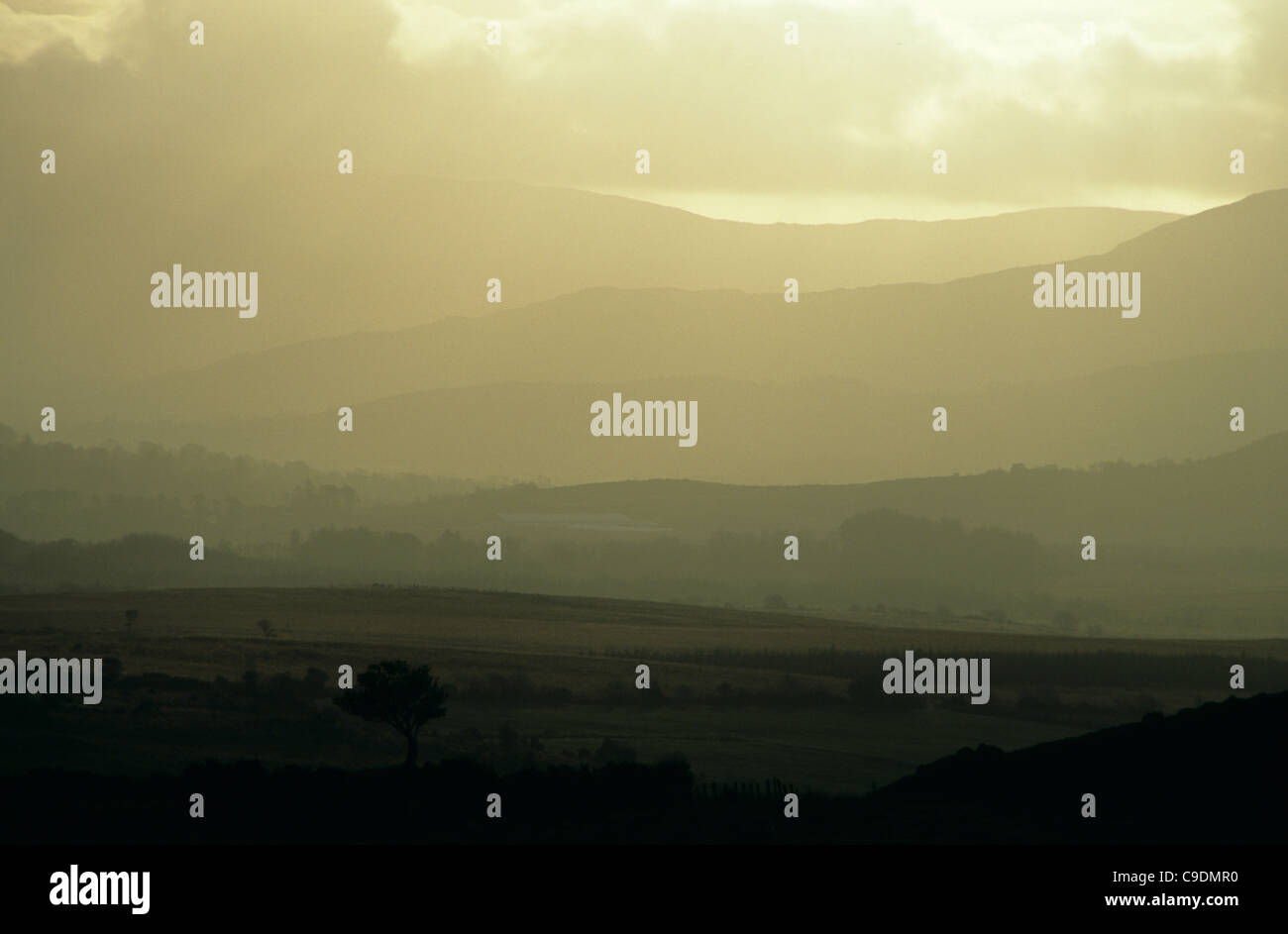 Una nebbiosa mattina nella Contea di Kerry, Repubblica di Irlanda. Foto Stock
