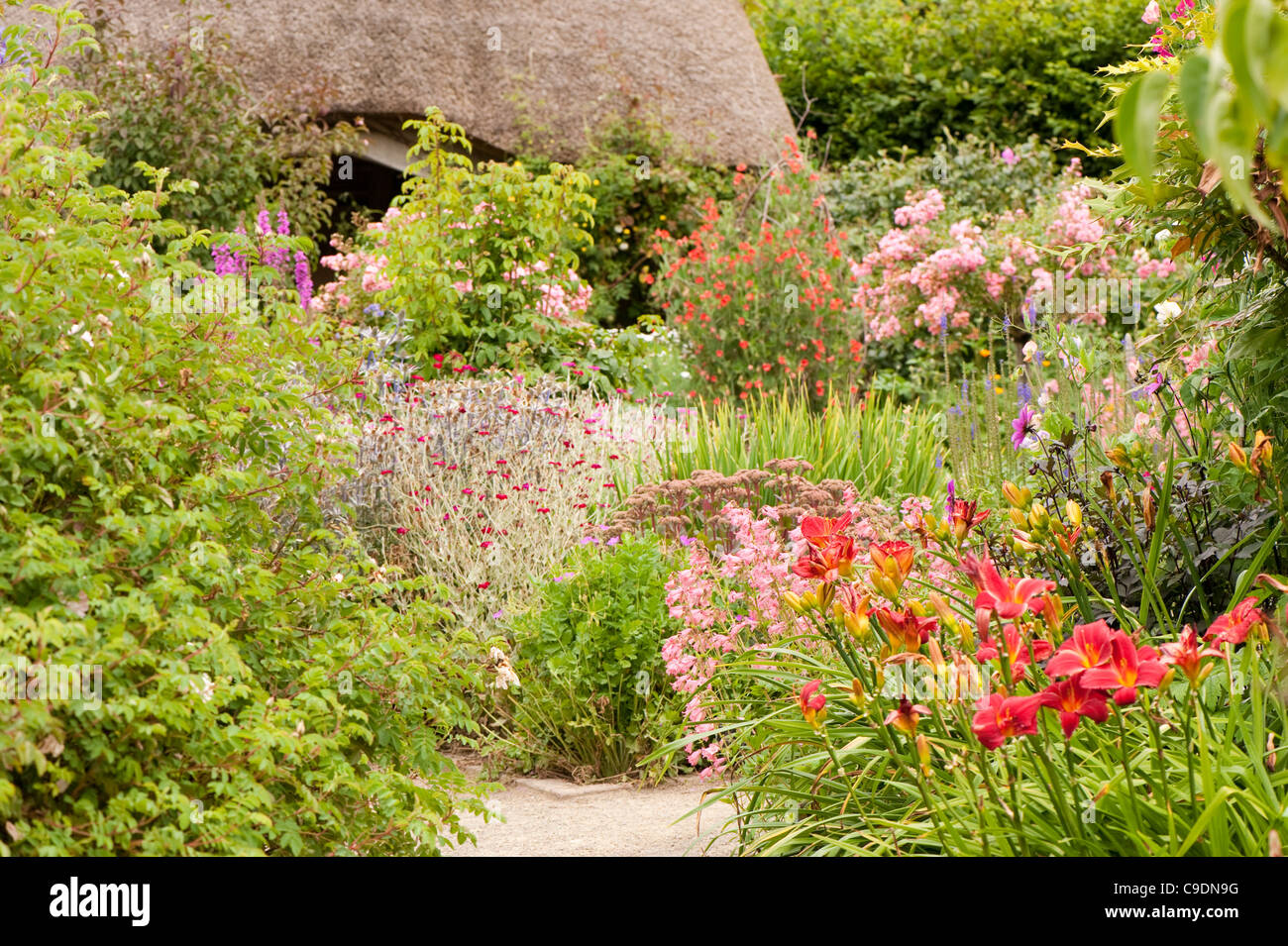 Il Garden cottage in estate, RHS Rosemoor, Devon, Inghilterra, Regno Unito Foto Stock