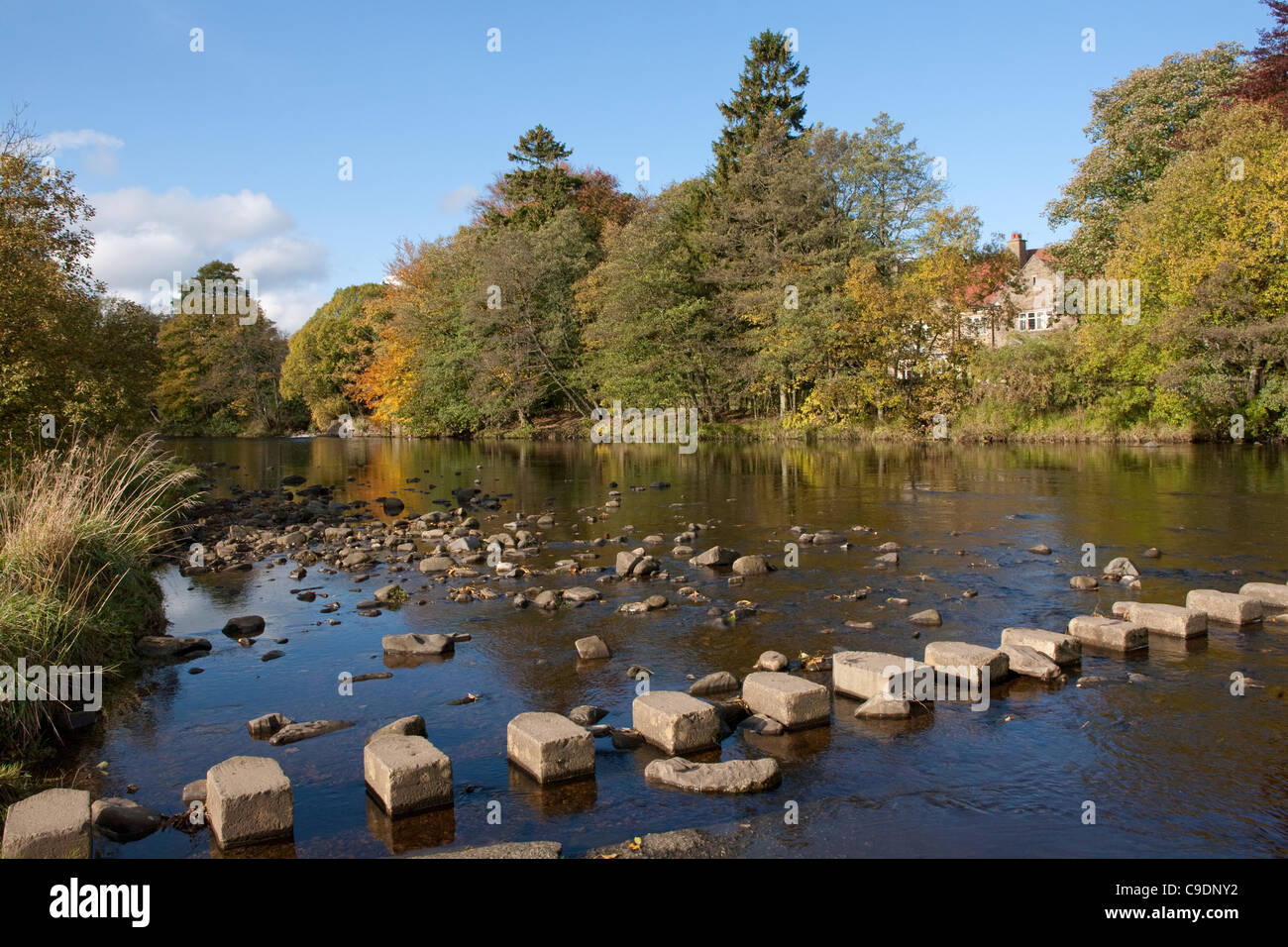 Pietre miliari sul fiume usura, Stanhope, Weardale, County Durham Foto Stock