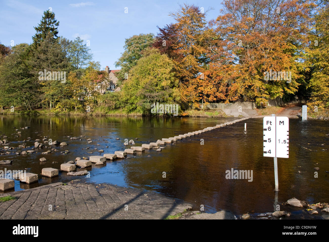 Pietre miliari sul fiume usura, Stanhope, Weardale, County Durham Foto Stock