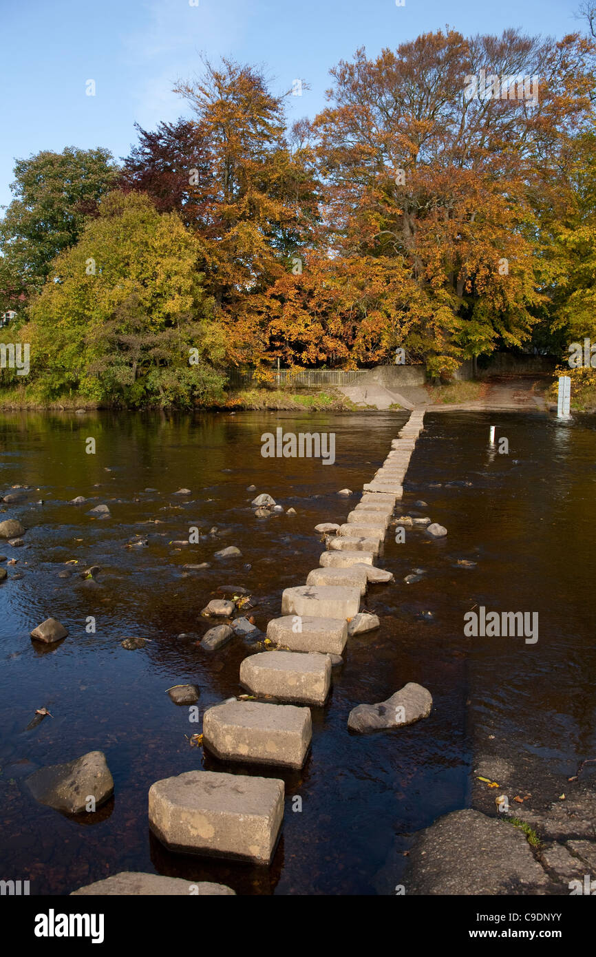 Pietre miliari sul fiume usura, Stanhope, Weardale, County Durham Foto Stock