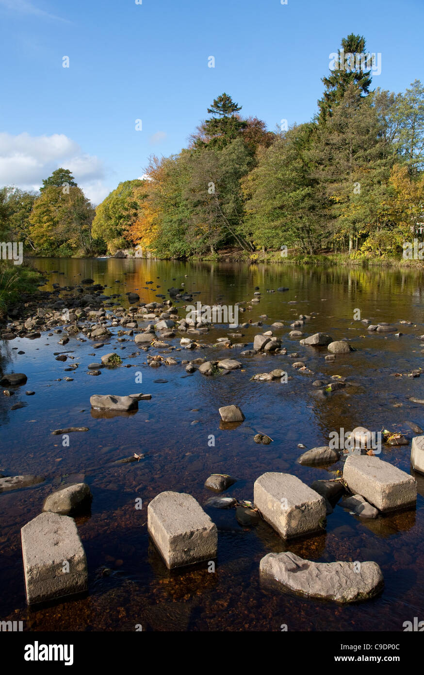 Pietre miliari sul fiume usura, Stanhope, Weardale, County Durham Foto Stock