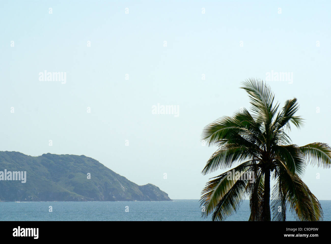 Palm tree, Oceano Pacifico e isola, Mazatlan, Sinaloa, Messico Foto Stock