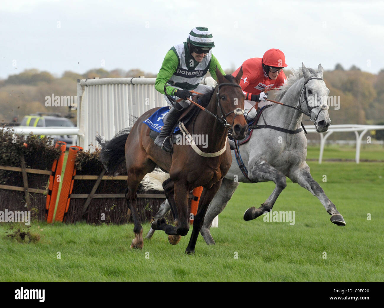 Roccia su Ruby cavalcato da Ruby Walsh Impero Porta Levante cavalcato da Harry Derham e va a vincere la Sportingbet ostacolo intermedio (registrati come il Gerry Feilden Hurdle) all ippodromo di Newbury, Berkshire - 26/11/2011 - Il Credit: Martin Dalton/TGSPHOTO Foto Stock