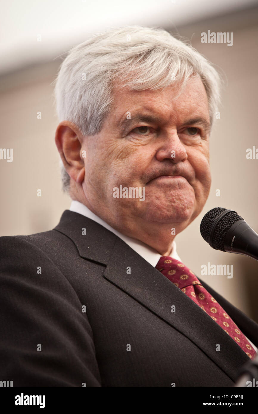 Candidato presidenziale repubblicano Newt Gingrich parla a un incontro del municipio nella città vecchia in novembre 29, 2011 in Bluffton, Carolina del Sud. Foto Stock