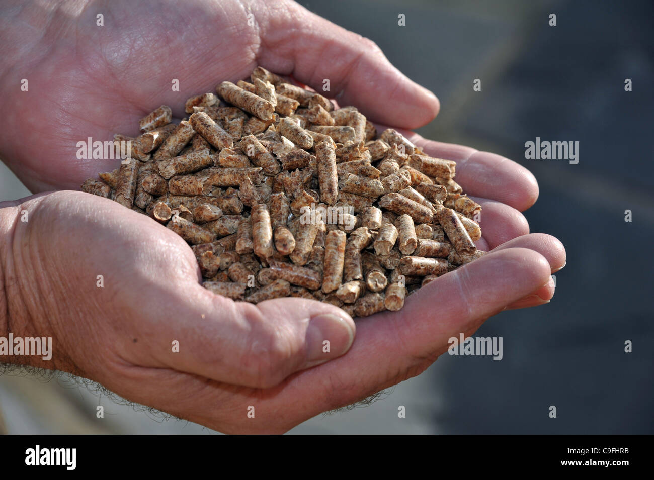 Bio-massa legno combustibile di chip Foto Stock
