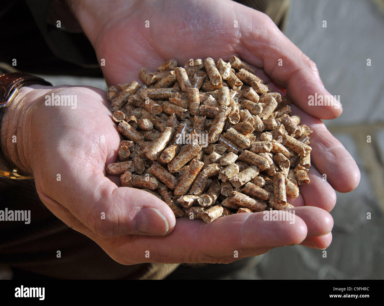 Bio-massa legno combustibile di chip Foto Stock