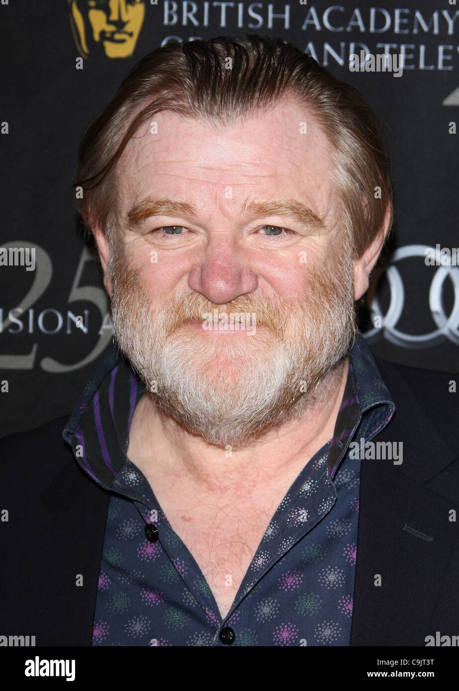 BRENDAN GLEESON BAFTA LOS ANGELES 18TH ANNUAL AWARDS STAGIONE TEA PARTY BEVERLY HILLS LOS ANGELES CALIFORNIA USA 14 Gennaio 201 Foto Stock
