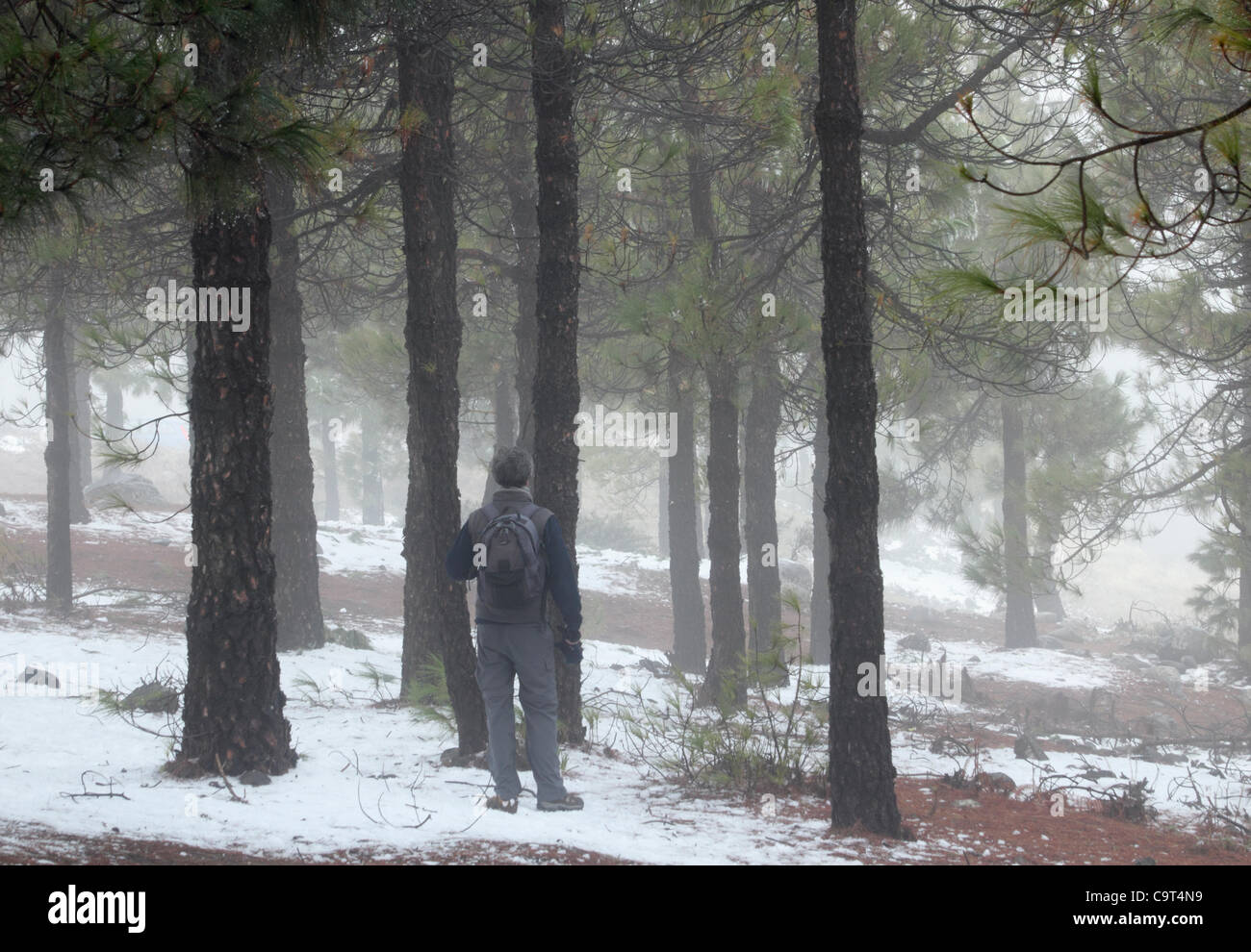 Escursionista nella neve a Pico de las Nieves, il punto più alto di Gran Canaria (1949m), Isole Canarie, Spagna, giovedì 16 febbraio, 2012. Lo stesso giorno le persone sono state prendendo il sole sulla spiaggia a Playa del Ingles. Foto Stock