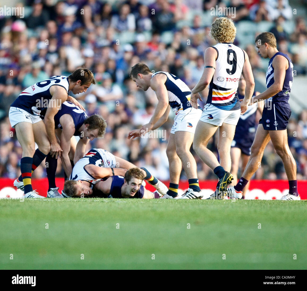 02.06.2012 Subiaco, Australia. Fremantle v Adelaide Crows. Michael Barlow ottiene catturati con la palla durante il Round 10 gioco giocato a Patersons Stadium. Foto Stock