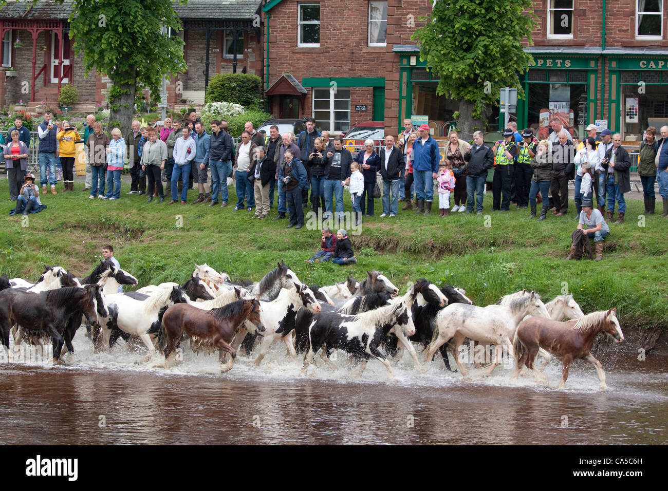 Decimo Giugno 2012 a Appleby, Cumbria, Regno Unito. Lavaggio cavalli nel fiume Eden. La domenica è tradizionalmente un giorno occupato per cavallo di trading e i visitatori a Appleby Fair, il più grande raduno annuale di zingari e nomadi in Europa. Foto Stock