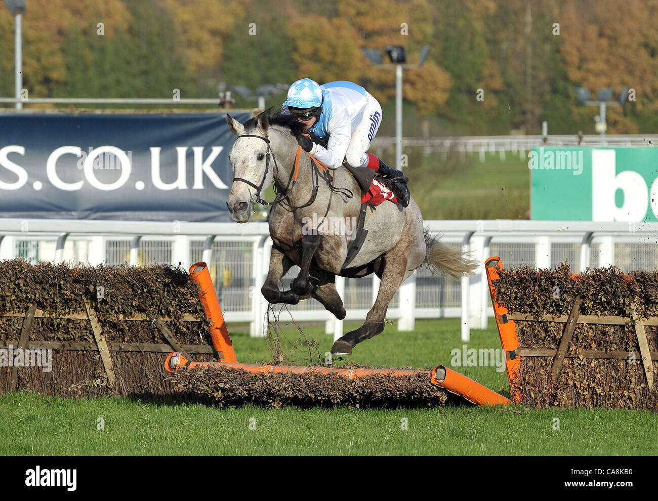 Safran De cotte cavalcato da Richard Johnson prende l'ultimo nell'Pertemps Handicap Hurdle (Serie Qualifier) a Sandown Park Racecourse, Speen, Surrey - 03/12/2011 - Il Credit: Martin Dalton/TGSPHOTO Foto Stock