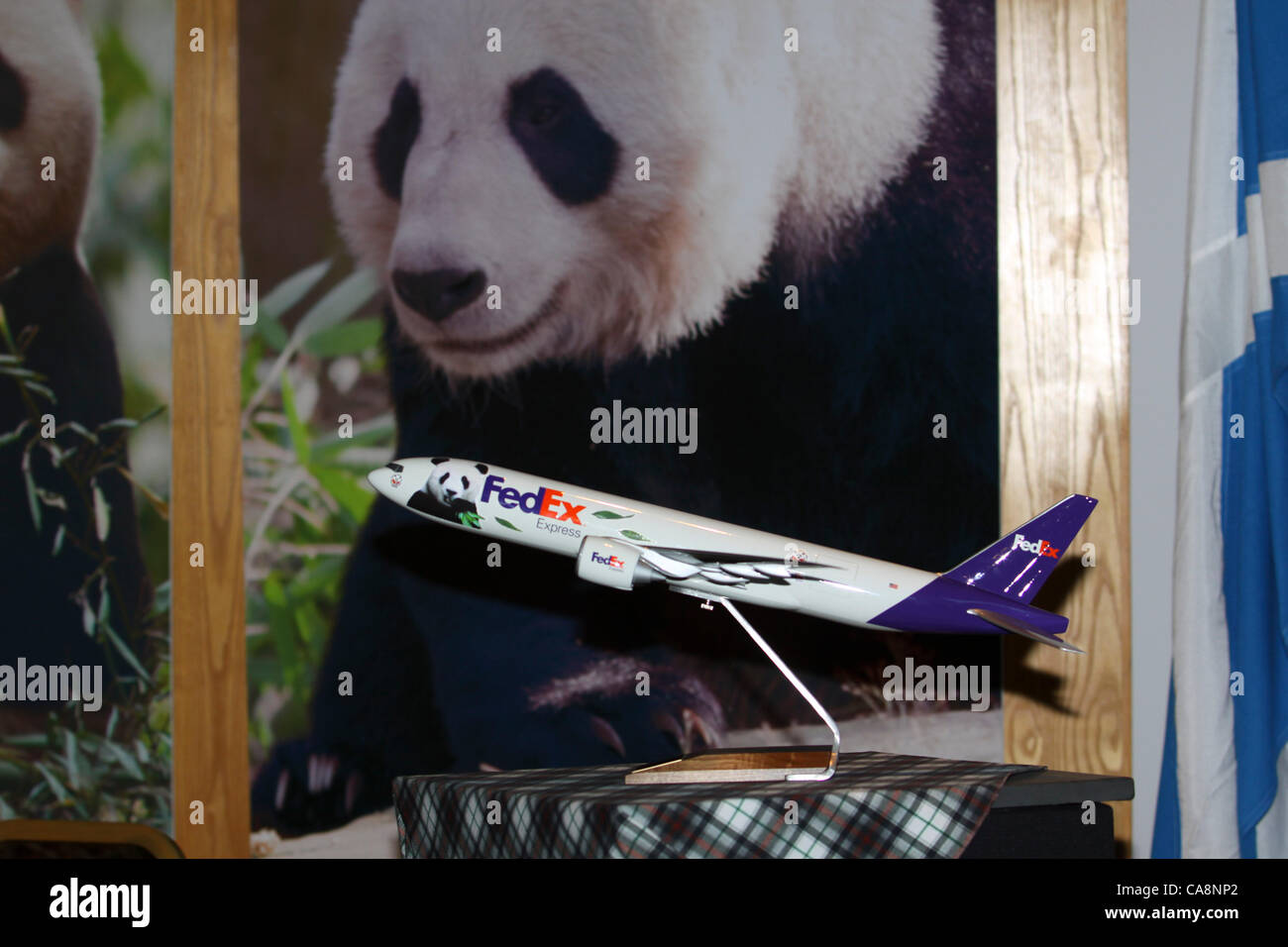 04/12/11 Panda Giganti arrivano presso lo Zoo di Edimburgo. Tian Tian e Yang Guang aka Sweetie e sole arriva a Edinburgh Zoo a un tradizionale benvenuto da una pipe band e i ragazzi della scuola media locale. Foto Stock