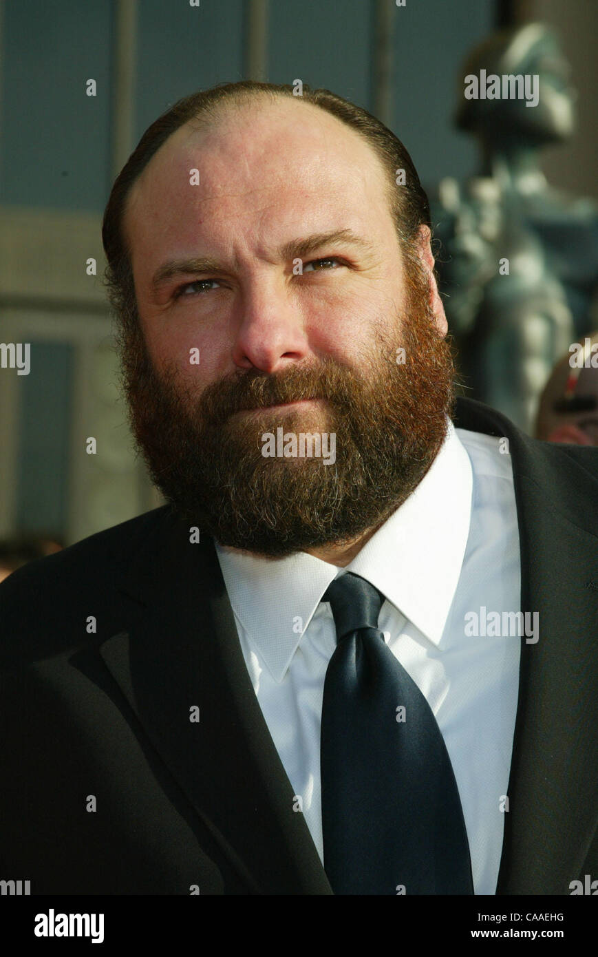 Mar 09, 2003; Los Angeles, CA, Stati Uniti d'America; l'ATTORE JAMES GANDOLFINI arriva @ la nona edizione del Screen Actors Guild Awards che si è tenuto presso il Santuario Exposition Center di Los Angeles. Foto Stock