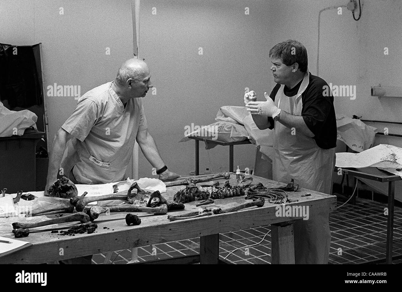 Polacco e American forensic antropologi, membri del Centro internazionale per l'assistenza legale (CIFA) per il lavoro delle Nazioni Unite in Kosovo, assemblare un scheletro nell'obitorio a Orahovac/Rahovec. Foto Stock