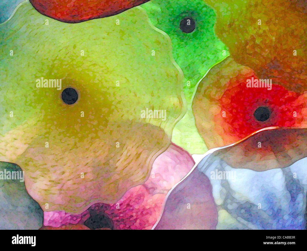 Giu 03, 2004; Los Angeles, CA, Stati Uniti d'America; Abstract fiori di vetro. Foto Stock