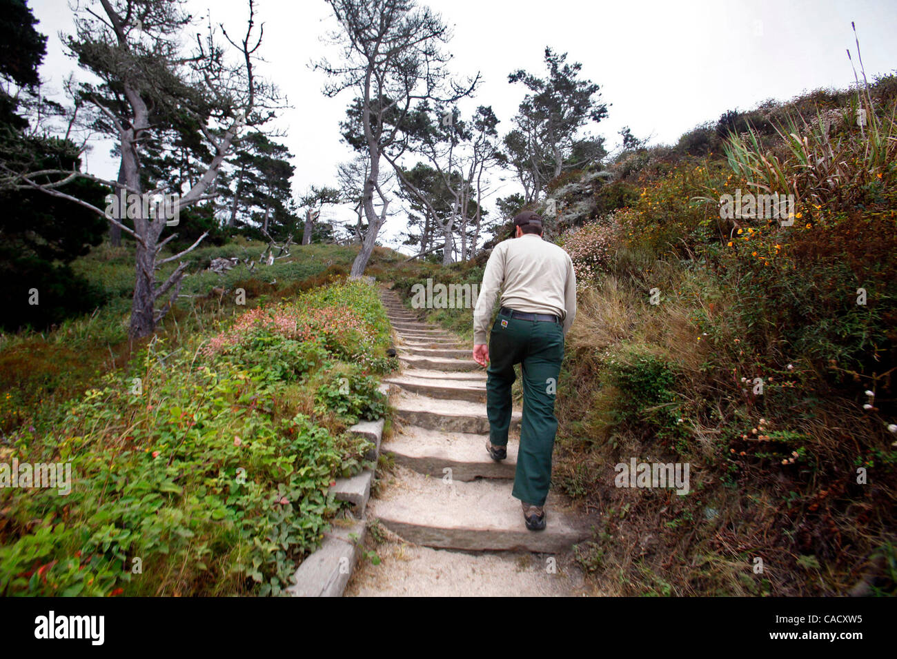Agosto 26, 2010 - Carmelo Highlands, California, Stati Uniti - Jake Bentlet, trail supervisore con il Dipartimento di Stato per Parchi e Ricreazione, passeggiate una sezione del Bird Island Trail a punto Lobos State Park. Un progetto è slittato per iniziare in novembre che renderà il Bird Island Trail ADA. (Credito Foto Stock