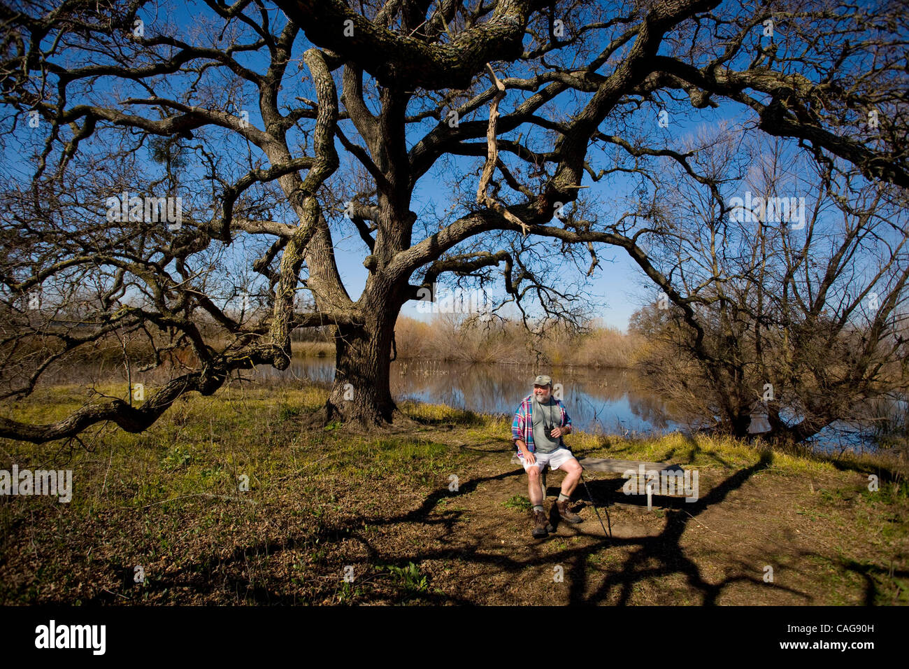 LEDE Steve Evans (CQ) mette in pausa su un banco di lavoro al di sotto di una valle gigantesca quercia presso il fiume Cosumnes preservare, uno dei suoi luoghi preferiti, sabato 16 febbraio, 2008. Evans, del parco terrestre ha scritto Top Trails: Sacramento di un libro che presenta una descrizione delle passeggiate intorno al Sacramento. Randy Pench / rpench@SA Foto Stock