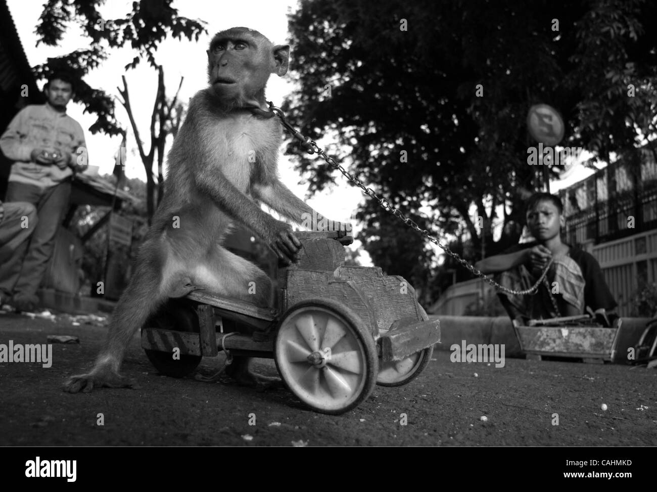 Una scimmia ride pedicab giocattolo durante la prestazione tecnica tradizionale 'Monkey Mask' sulla strada a Jakarta, Indonesia. Dicembre 9,2007.Migliaia di bambini in Indonesia per non andare a scuola, che aiuta la famiglia a trovare il denaro per il loro vivere, molti di loro lavorano tutto il settore informale.Questo uno di storia, chi fi per bambini Foto Stock