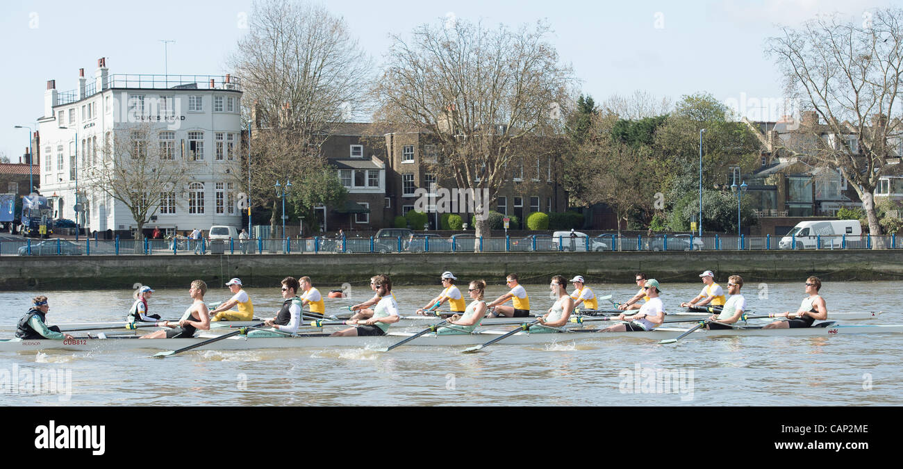 03/04/2012. 158Xchanging Oxford & Università di Cambridge Boat Race. Cambridge blu (primo piano) e Goldie barche sulla pratica di gite durante la precedente settimana Tideway. Cambridge barca blu (in primo piano) righe contro Cambridge Goldie prenotare la barca. Cambridge equipaggio blu:-1 Prua: David Nelson (un Foto Stock