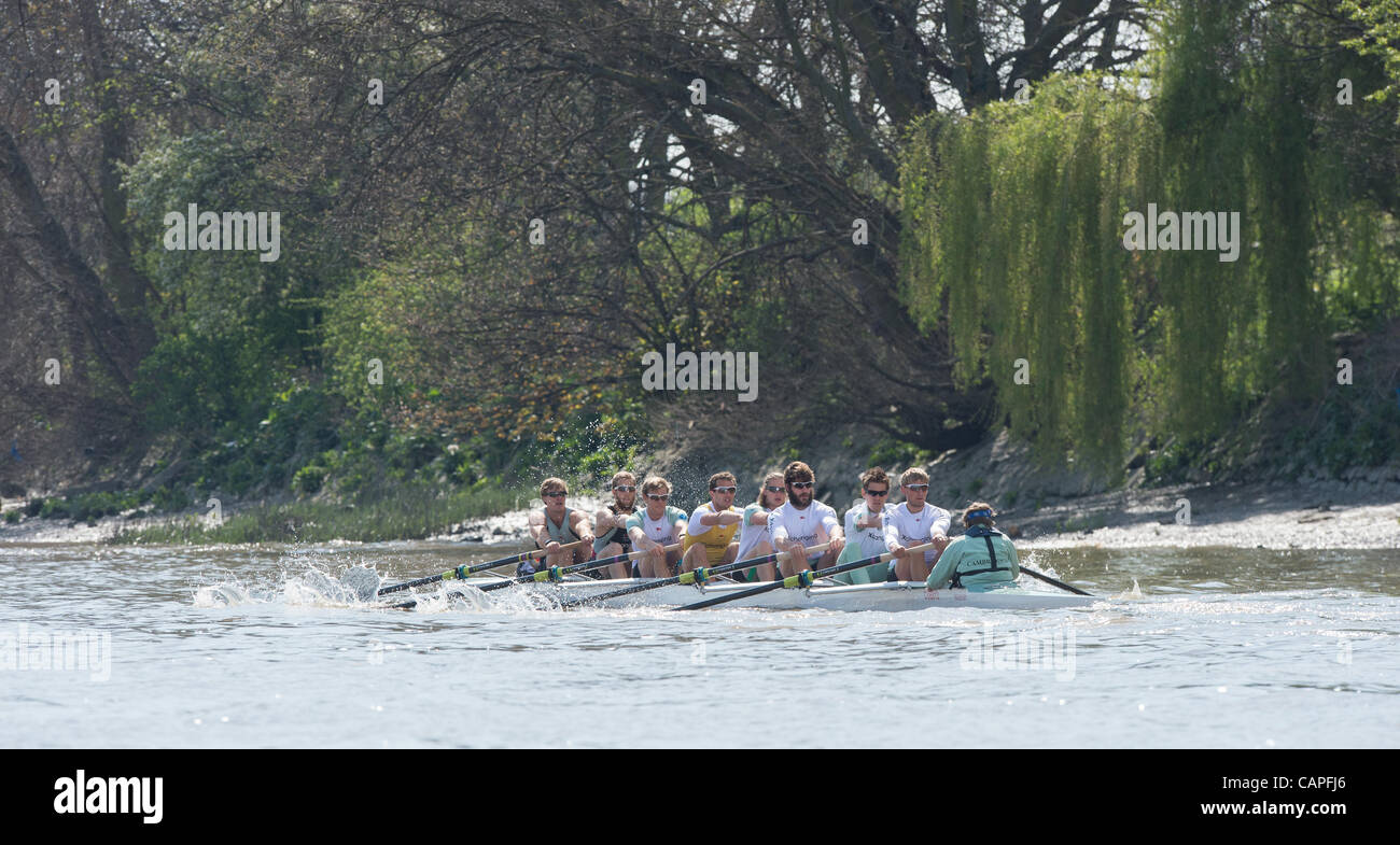 Il fiume Tamigi, Londra, Regno Unito. 06/04/2012. 158Xchanging Oxford & Università di Cambridge Boat Race. Cambridge equipaggio blu sulla loro ultima gita in pratica prima di domani le Boat Race. Cambridge equipaggio blu:-1 Prua: David Nelson (AUS), 2 Moritz Schramm (GER), 3 Jack Lindeman (USA), 4 Alex Ross (NZ), 5 M Foto Stock