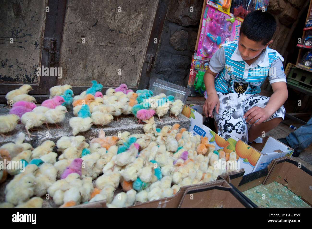 Gerusalemme - 13 aprile: un ragazzo palestinese vende color pastello baby pulcini come ortodosso orientale Chrisitans segnato Venerdì Santo nella Città Vecchia di Gerusalemme. Linea di credito : credito: Ryan Rodrick Beiler Alamy / Live News. Foto Stock