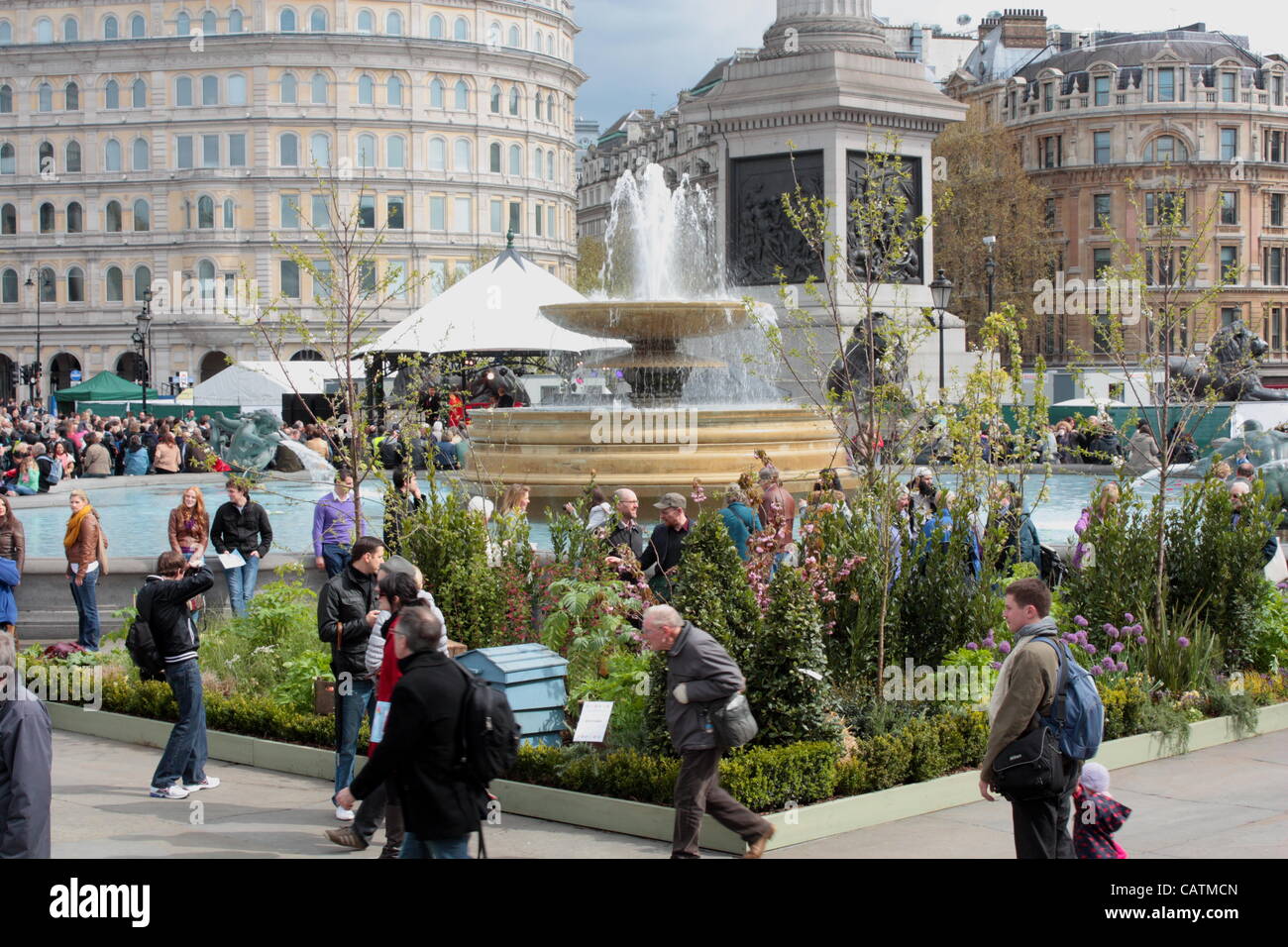 Blumi, arbusti e astroturf in Trafalgar Square per St George's Day Foto Stock