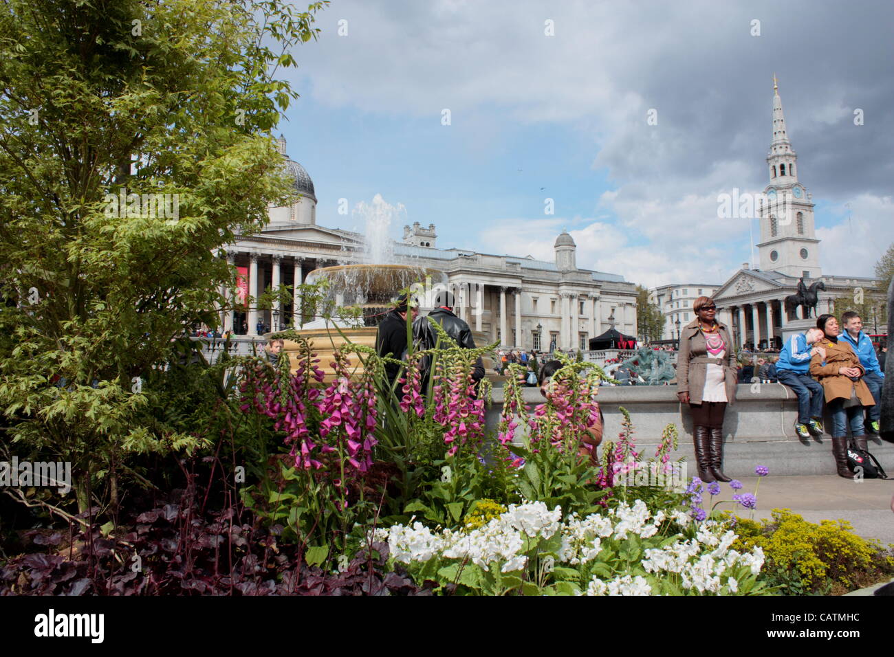 Fiorisce e arbusti in Trafalgar Square per St George's Day Foto Stock