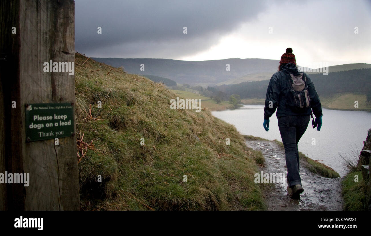 23 Aprile 2012: Parco Nazionale di Peak District, Derbyshire, Regno Unito. Il camminatore femmina sul Kinder Scout massa percorso trasgressione contro Kinder plateau e Kinder serbatoio. La protesta ha dato l'area di un posto nella storia della campagna per i parchi nazionali. Foto Stock