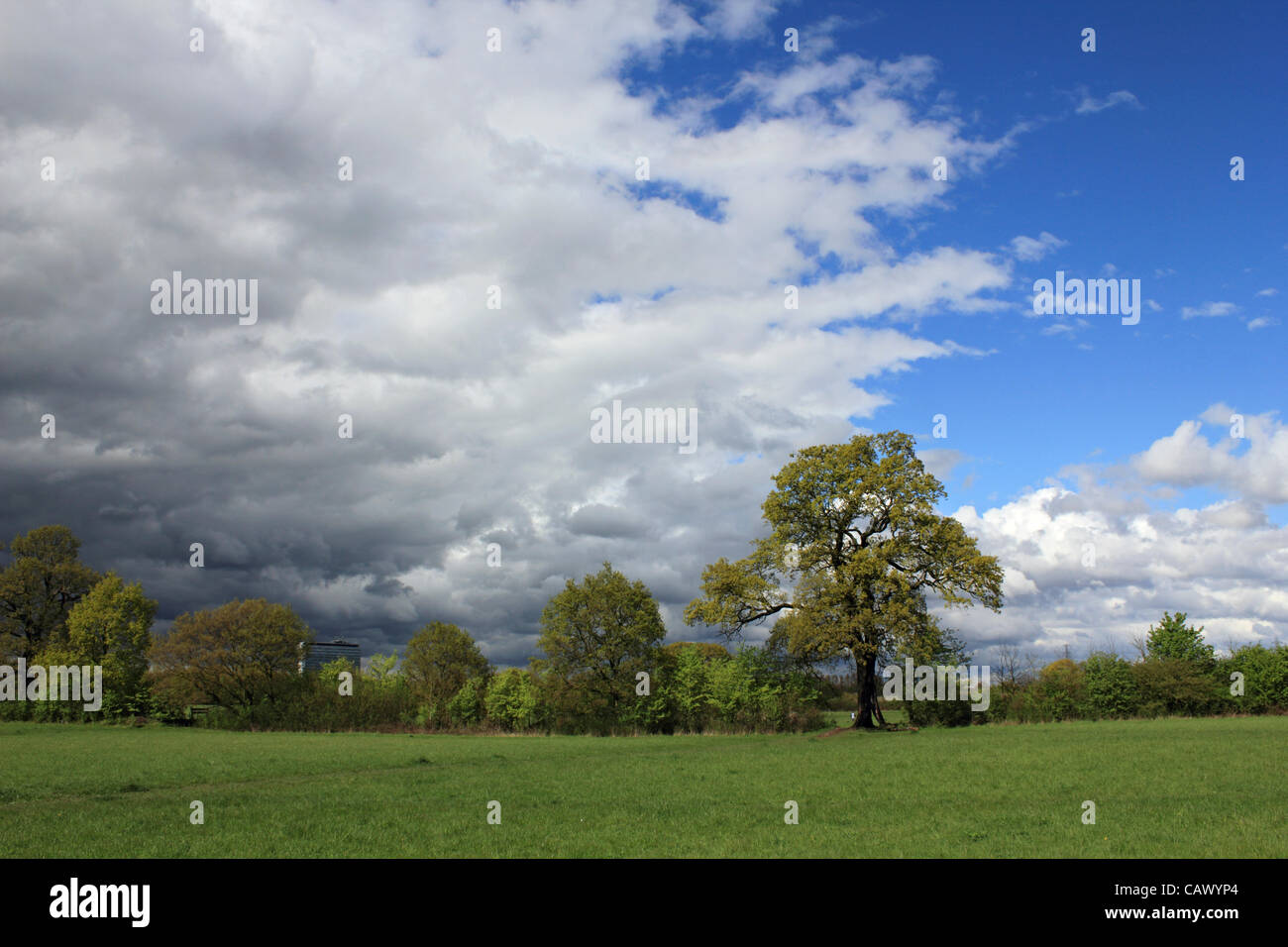 Il cielo chiaro infine dopo l'Aprile docce continuare in tutta la Gran Bretagna, a Corte Tolworth Farm, verde terra della cinghia nella zona sud-ovest di Londra, Inghilterra, Regno Unito Foto Stock